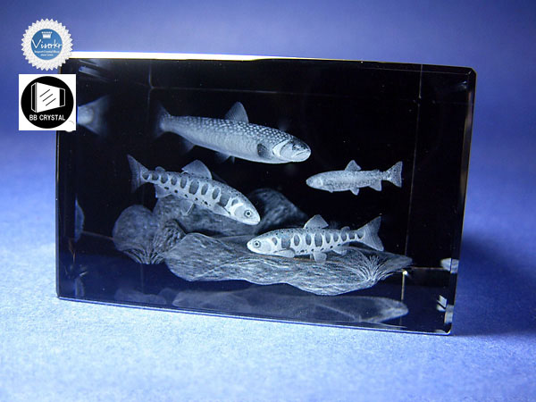3Dクリスタル  渓流の魚 アクアリウム