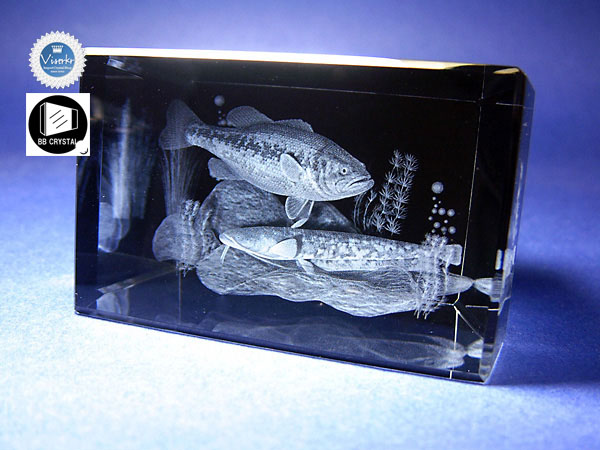 3Dクリスタル  湖の魚 アクアリウム
