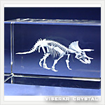 3Dクリスタル トリケラトプス骨格 写真版